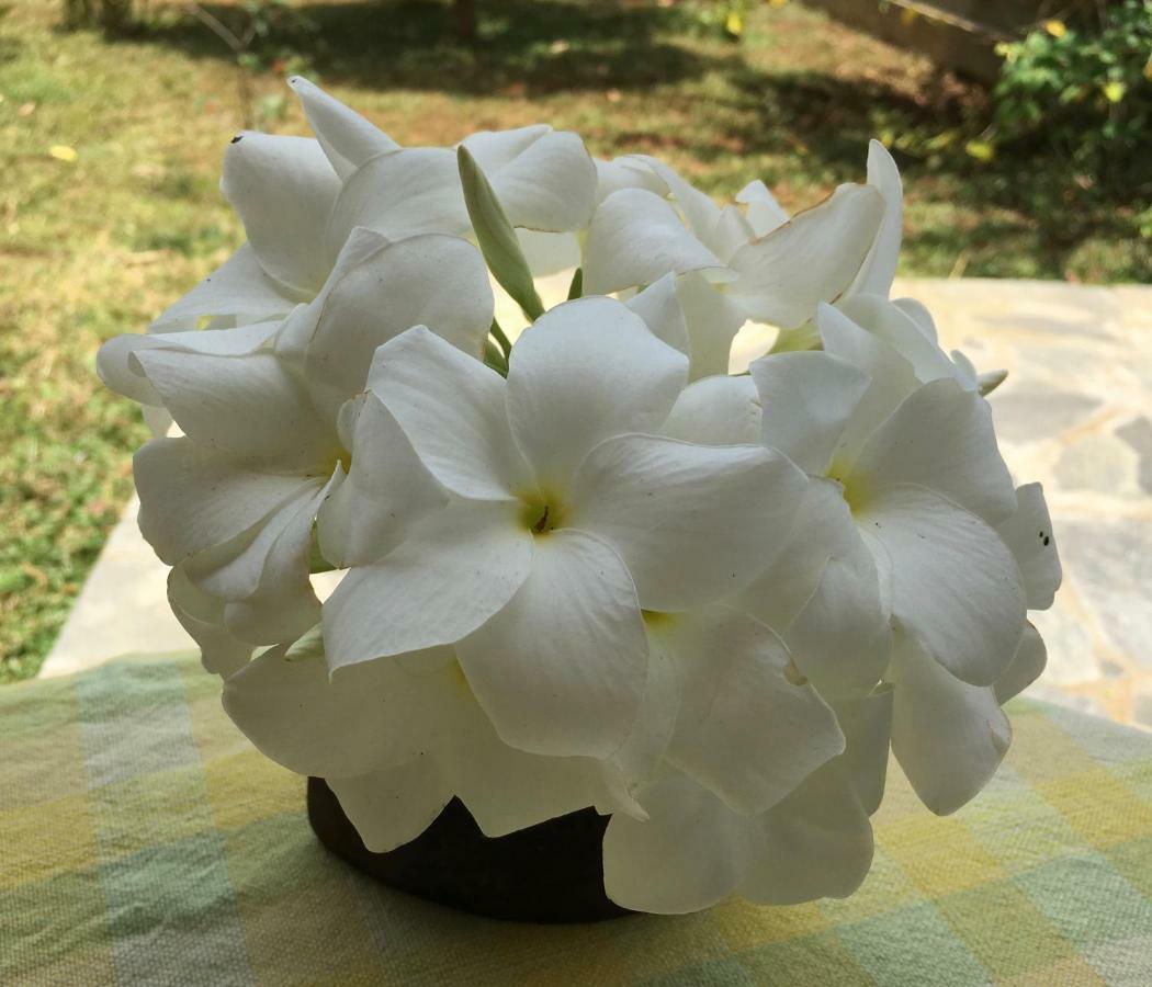 Shangri-Lanka Village Тисамахарама Екстериор снимка